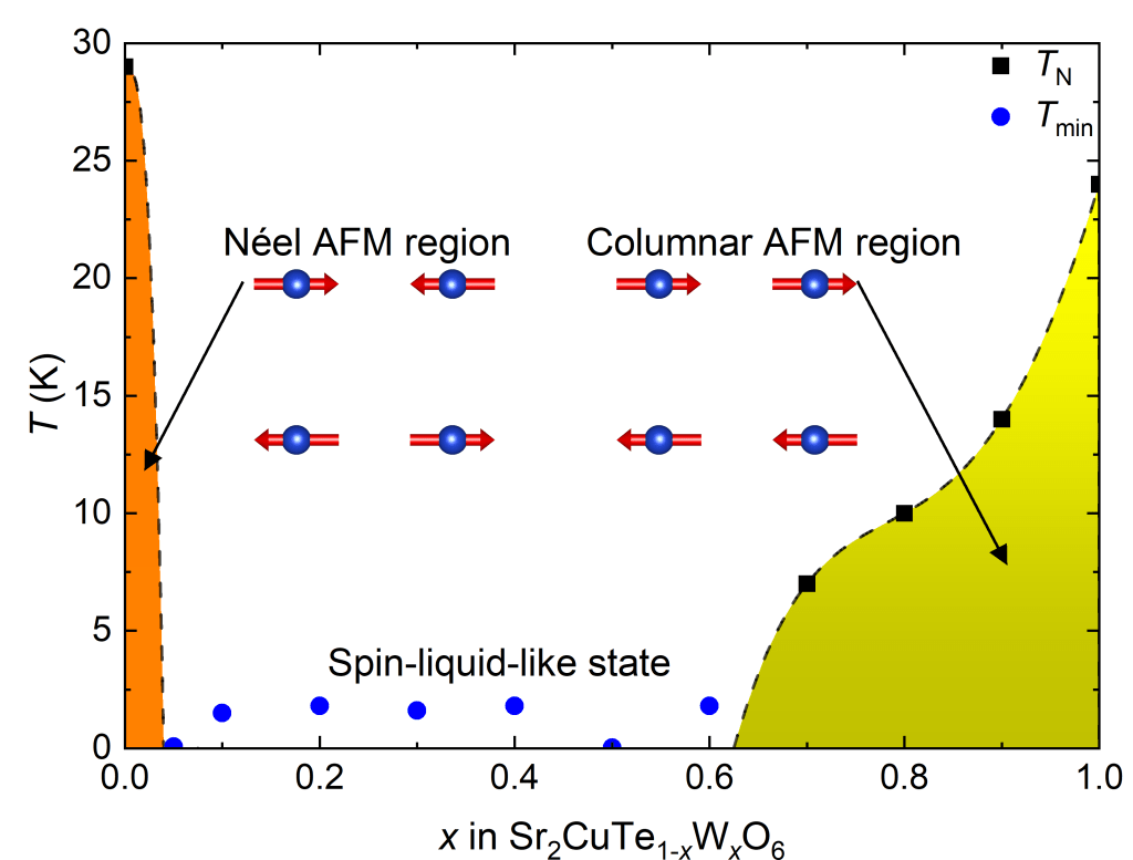 Magnetic phase diagram of Sr2CuTe1-xWxO6